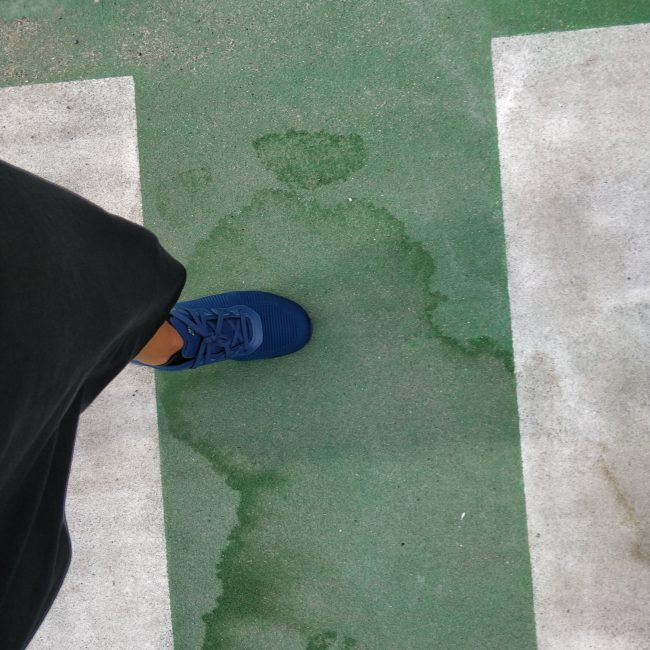 Something black, something white, something green, something blue