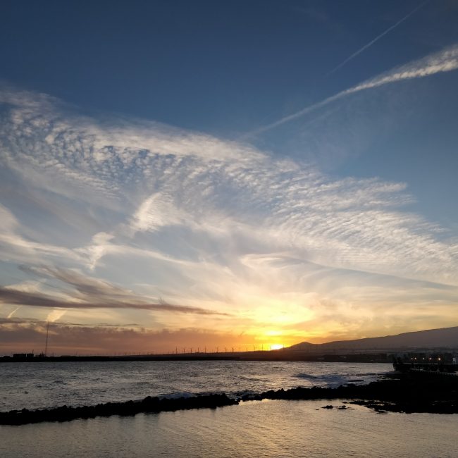 Arinaga