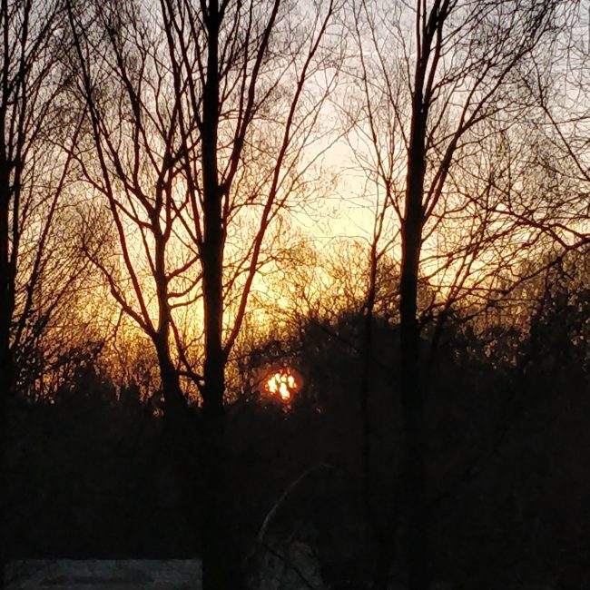 Godmorgen