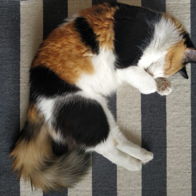 Croissant