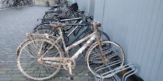 Cykler i et cykelstativ. Den forreste har tydeligvis ligget i havnen et godt stykke tid - den er fyldt med ruger.
