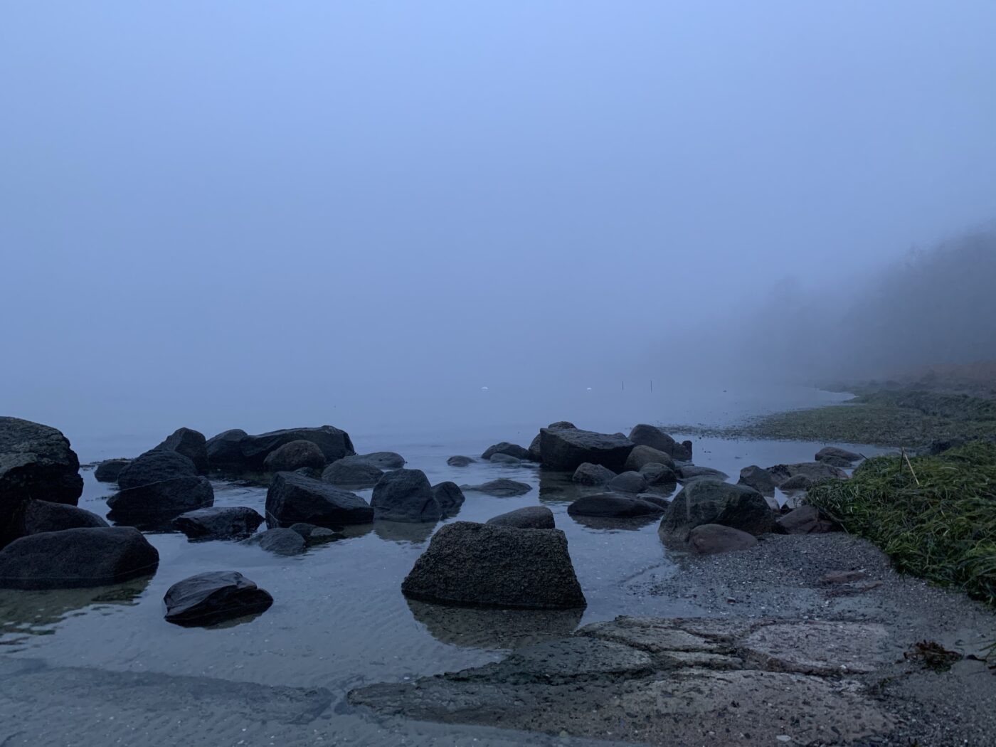 Tåge, vindstille, sten i vandkanten af Storstrømmen.