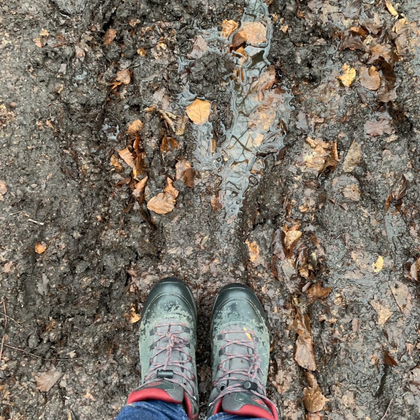 Et par fødder i vandrestøvler på en meget våd og mudret sti med visne blade.