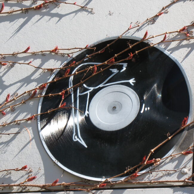 Discroller