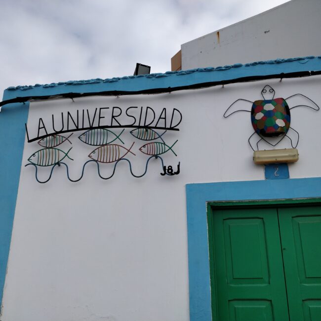 La Universidad