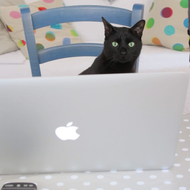 MacCat