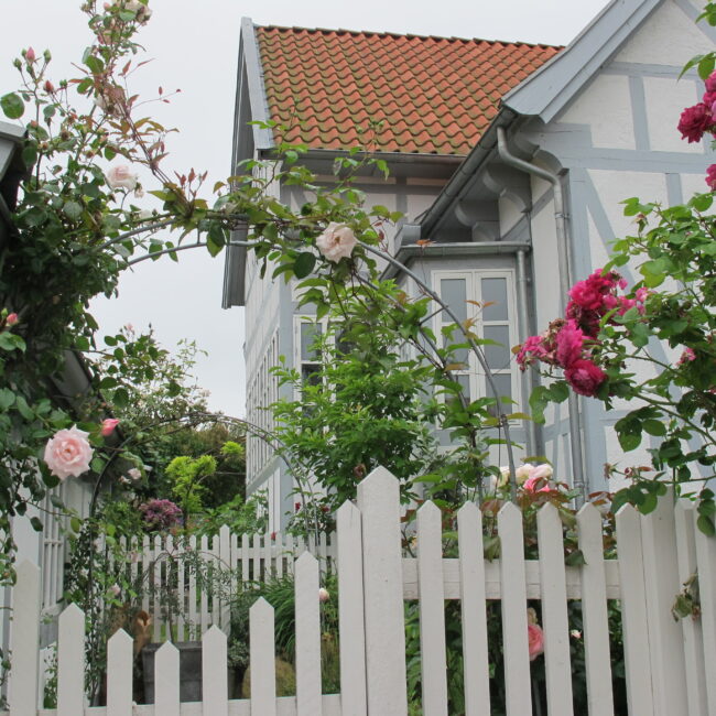 Rose Garden