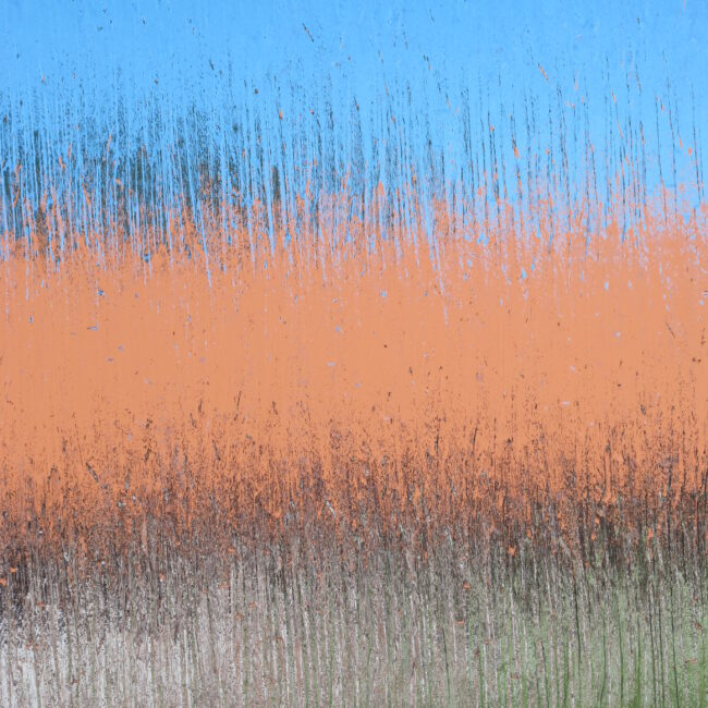 Tricolour