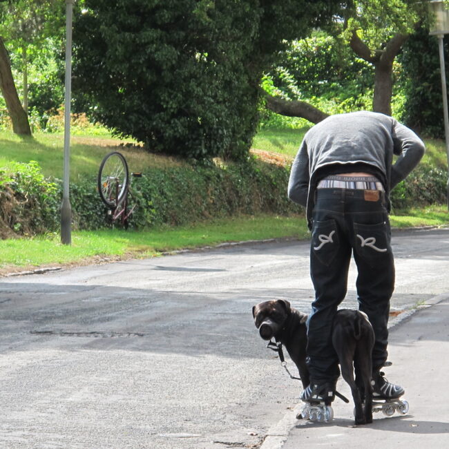 Walking the dog